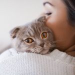 PetCat PetCat