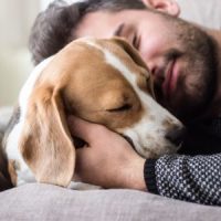 PetDog PetDog