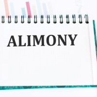 AlimonyPayment