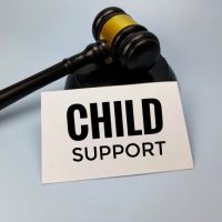 _SupportDispute _SupportDispute